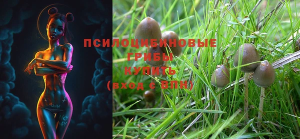 PSILOCYBIN Дмитровск